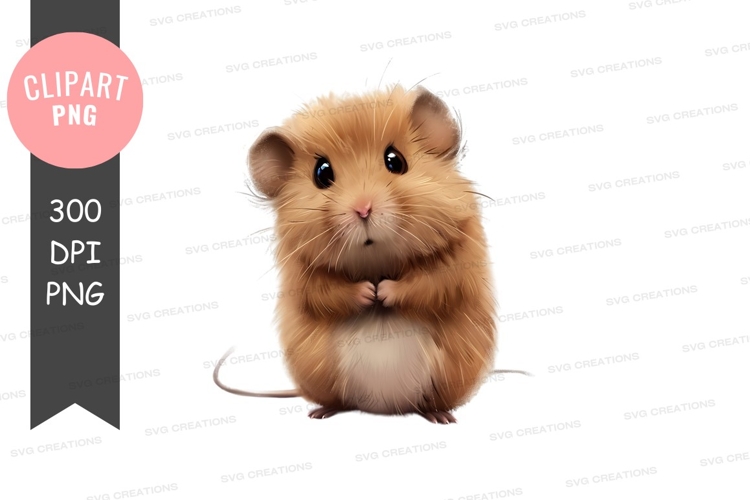 Hamster Png Image 8