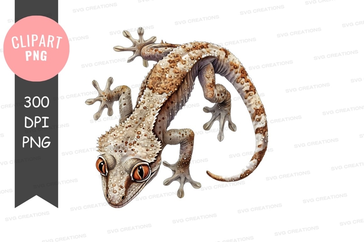 Lizard Clipart Image 19