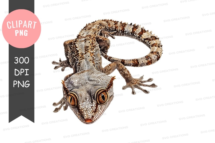 Gecko Clipart Image 2