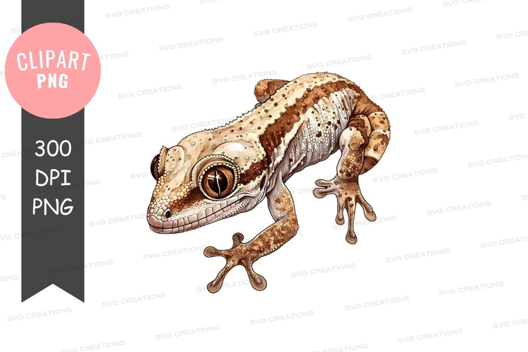 Gecko Clipart