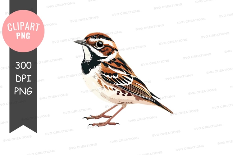 Feathers Clipart Image 21
