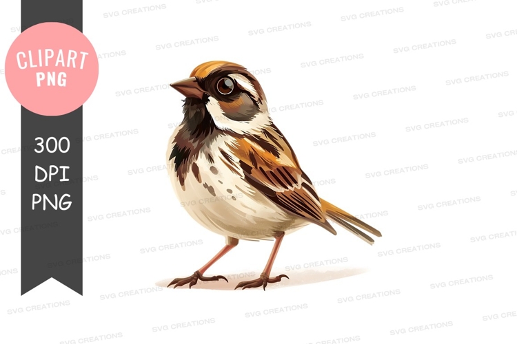 Bird Clipart Image 21