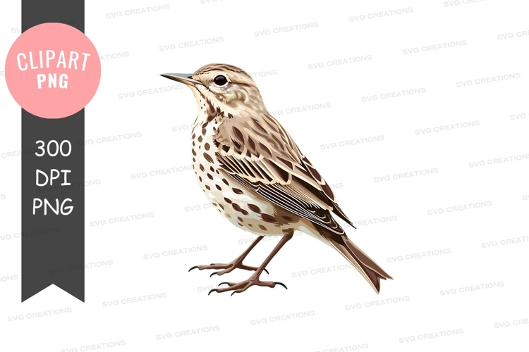 Feathers Clipart Image 23