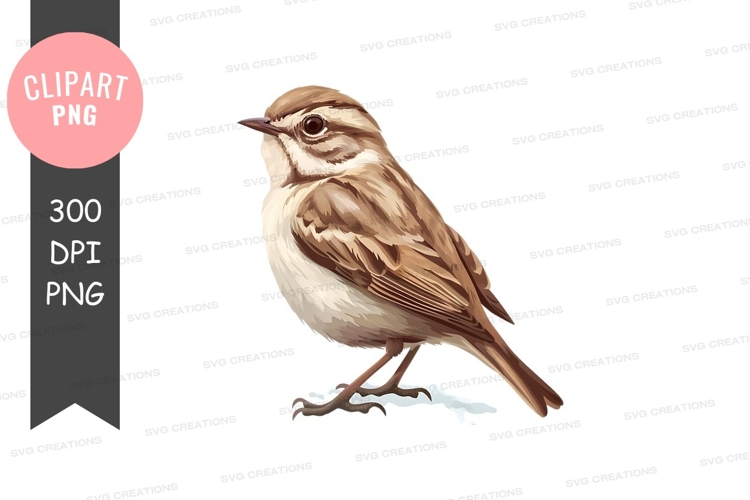 Brown bird on a branch