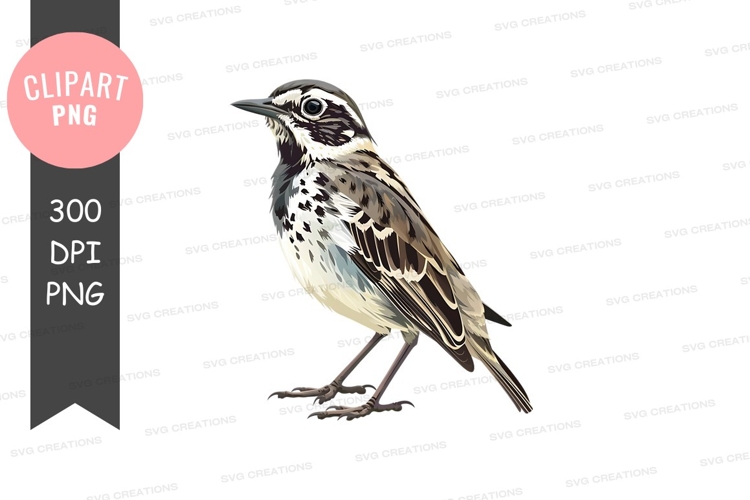 Monitor Clipart Image 21