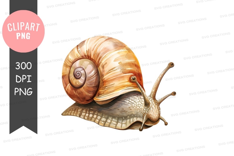 Garden snail clipart png