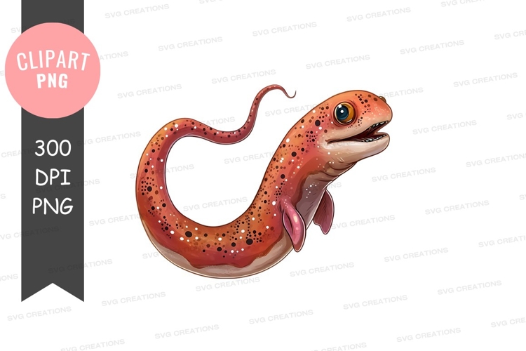 Illustrated axolotl clipart png