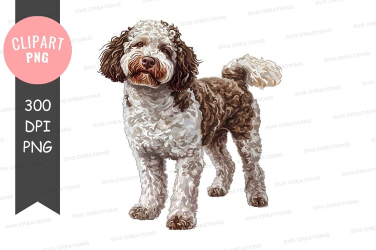 Portrait of a curly dog