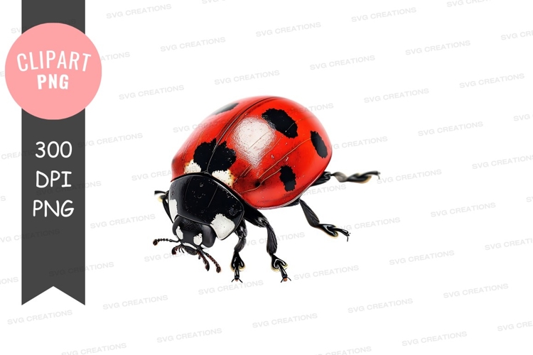 Red ladybug clipart png