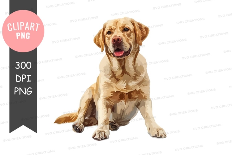 Happy labrador retriever clipart png