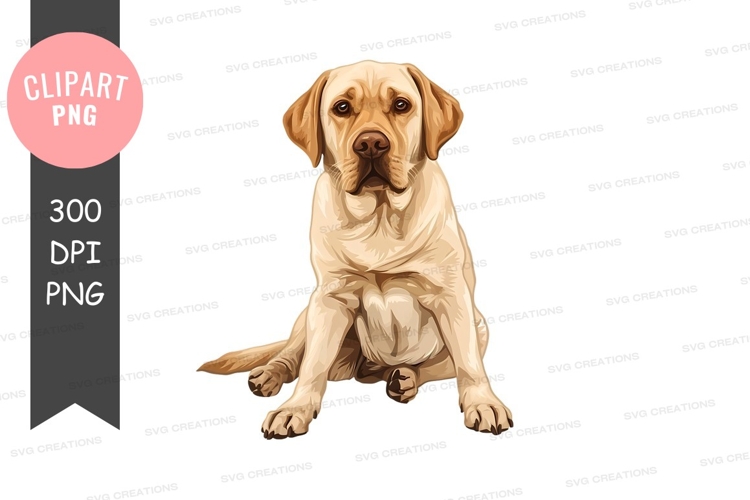 Labrador retriever clipart png