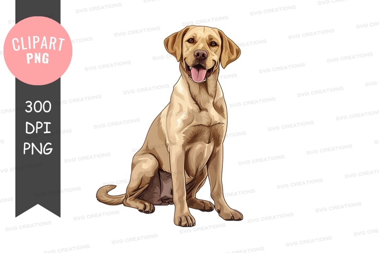 Happy labrador retriever clipart png