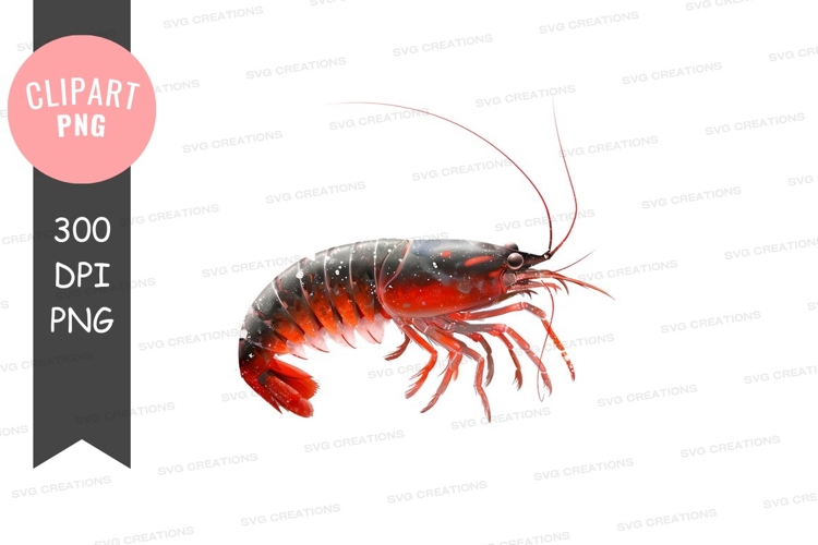 Red and black shrimp clipart png