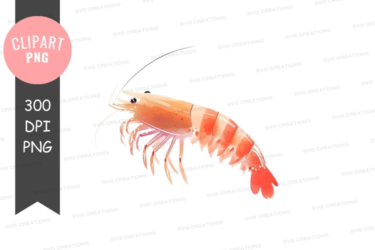 Vibrant shrimp clipart png
