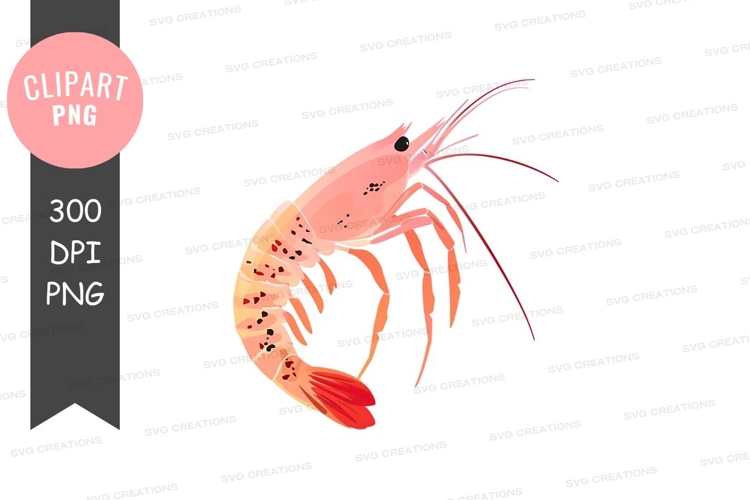 Pink shrimp clipart png