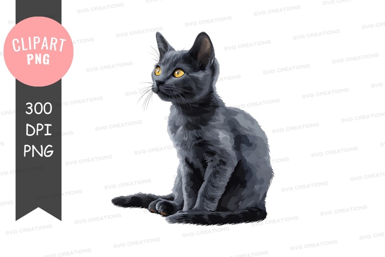 Gray kitten clipart png