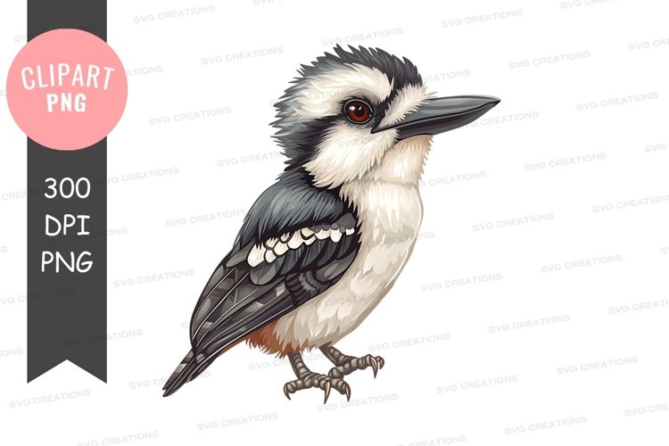 Feathers Clipart Image 21