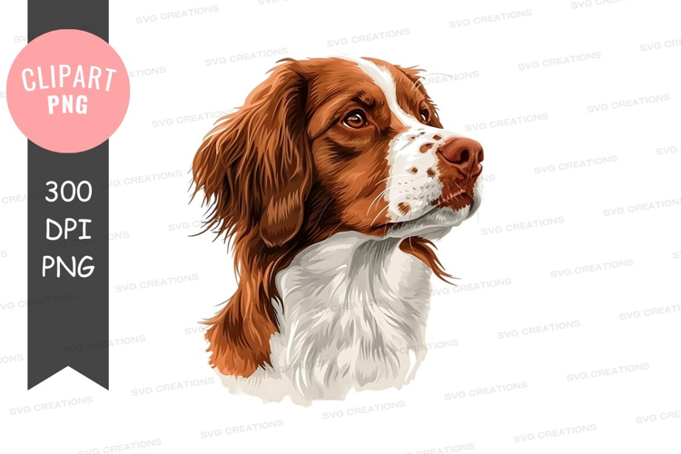 Portrait of a brown and white dog