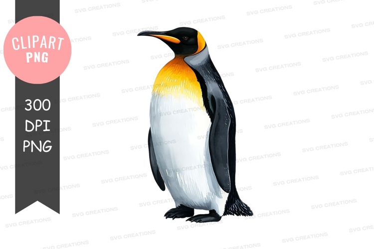 King penguin clipart png