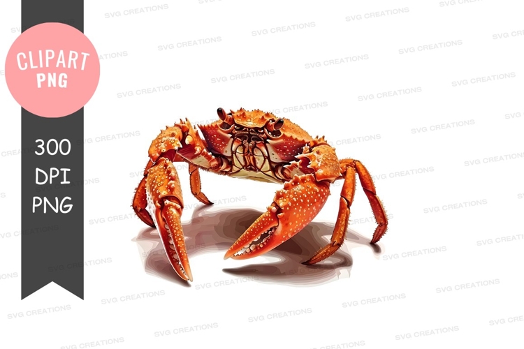 Crab Png Image 13