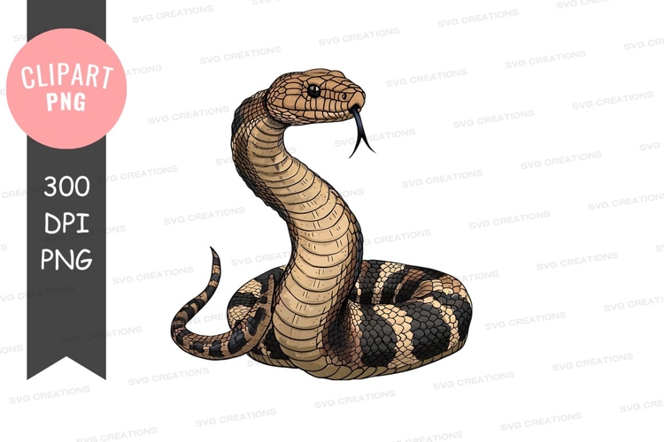Snake clipart png