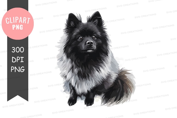 Black and white pomeranian dog clipart png
