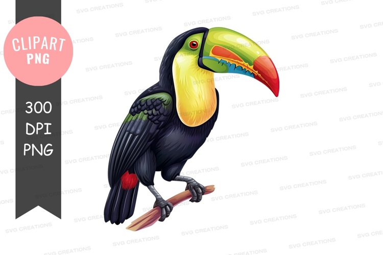 Colorful toucan clipart png