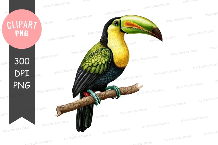 Vibrant toucan on a branch clipart png