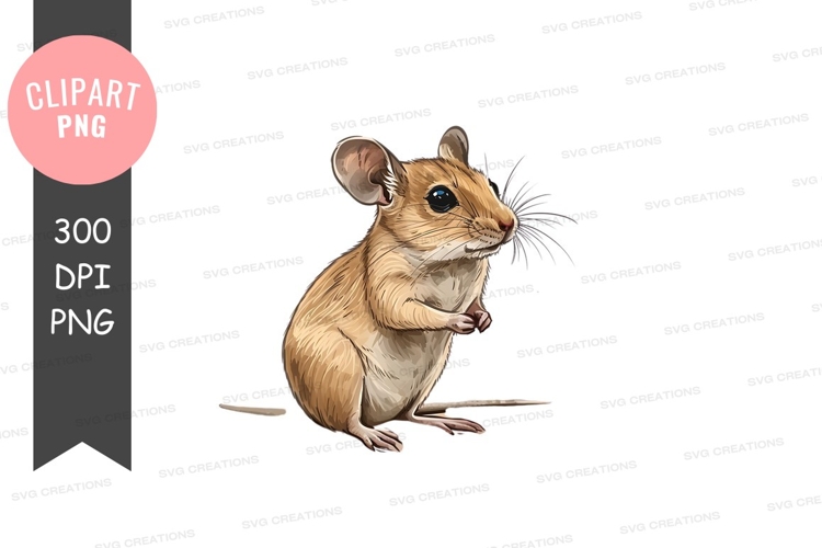 Curious mouse clipart png