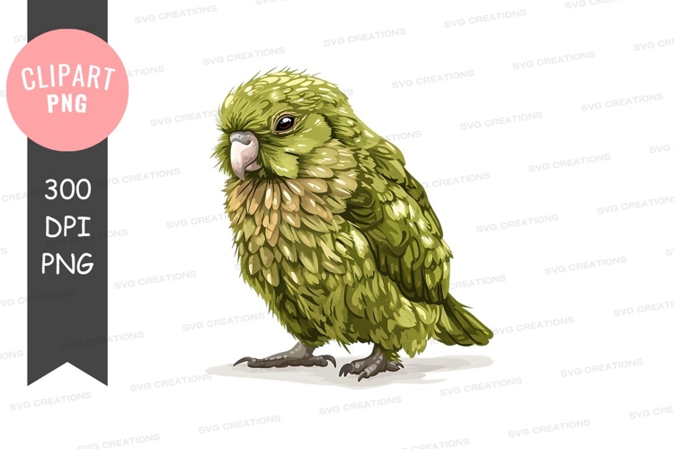 Parrot Clipart Image 5
