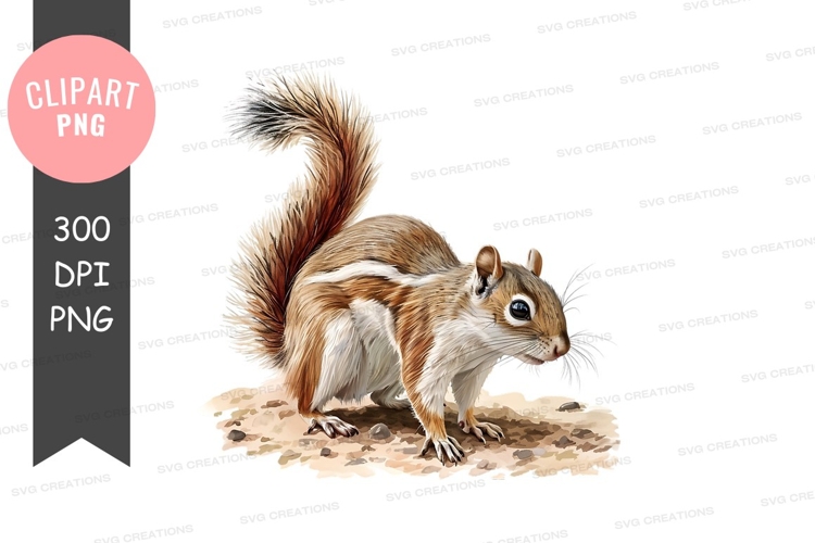 Squirrel Clipart Image 21