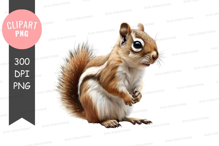Squirrel Illustration Image 17