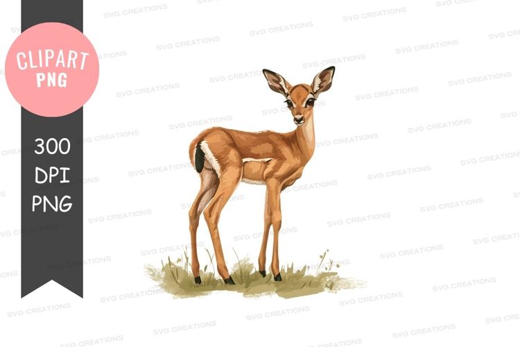 Young deer in grassland