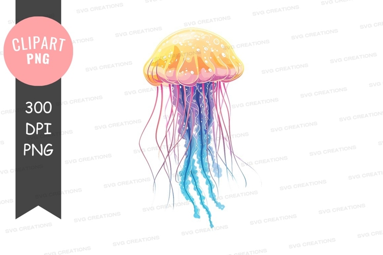 Colorful jellyfish clipart png
