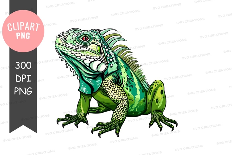 Frog Clipart Image 10