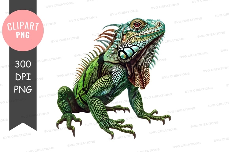 Green iguana clipart png
