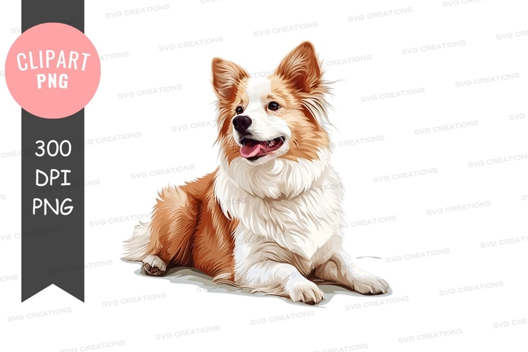 Curious hamster clipart png