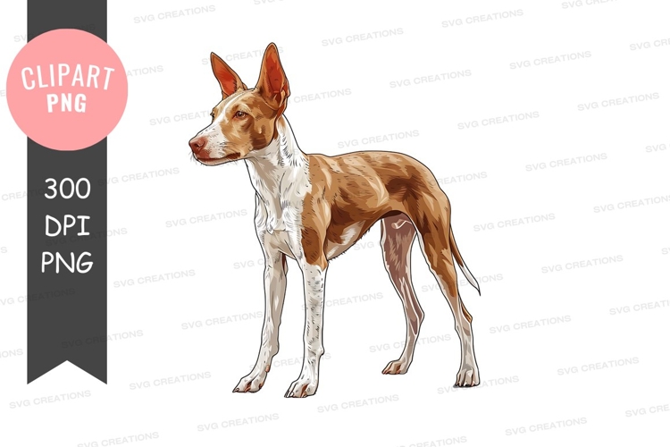 Fish Clipart Image 16