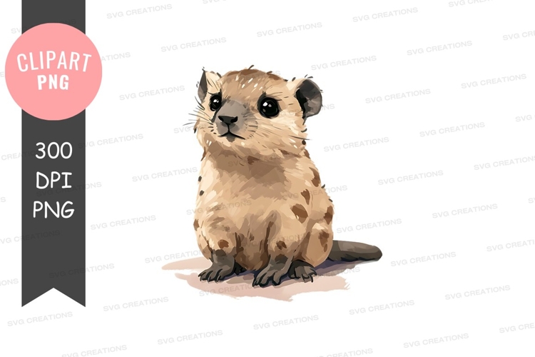 Curious ground squirrel