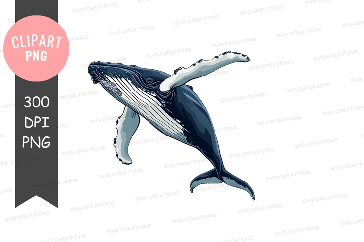 Leaping humpback whale clipart png
