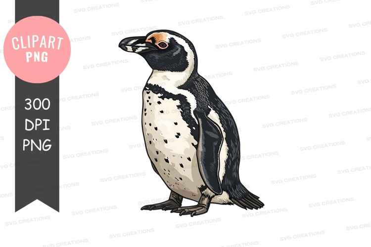 Penguin Cartoon Image 7