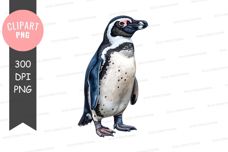 Great white shark clipart png