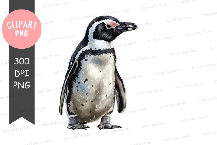 Feathers Clipart Image 16