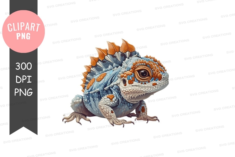 Happy bernese mountain dog