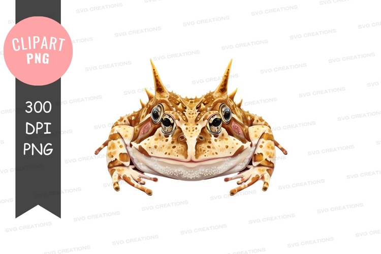 Animated Bird PNG Image 8