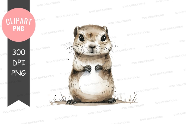 Hawk Illustration Image 3