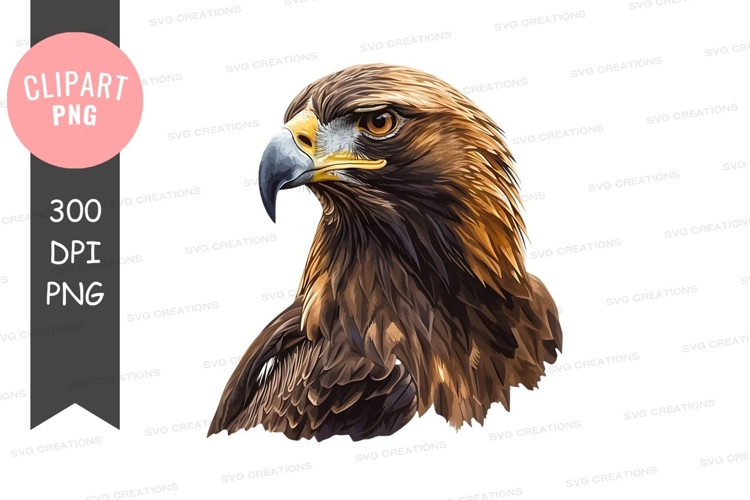 Eagle Head Clipart Image 4