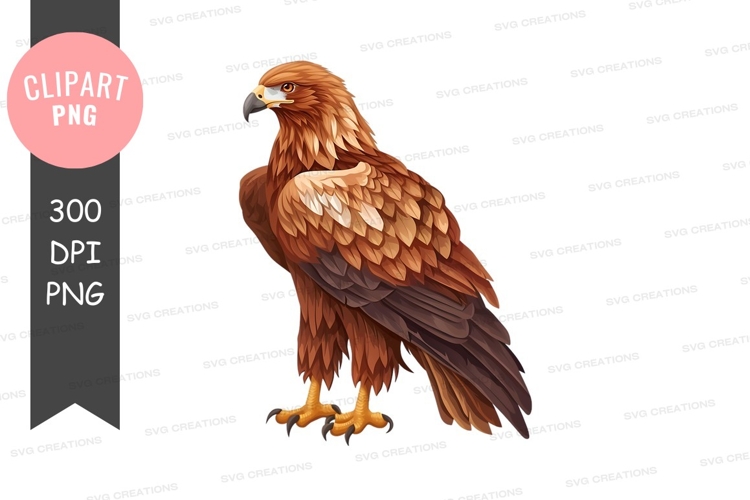 Majestic brown eagle clipart png