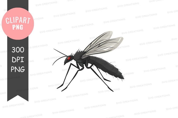 Transparent Wings Png Image 17