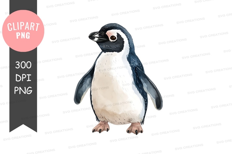 Penguin Illustration